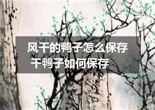 风干的鸭子怎么保存 干鸭子如何保存