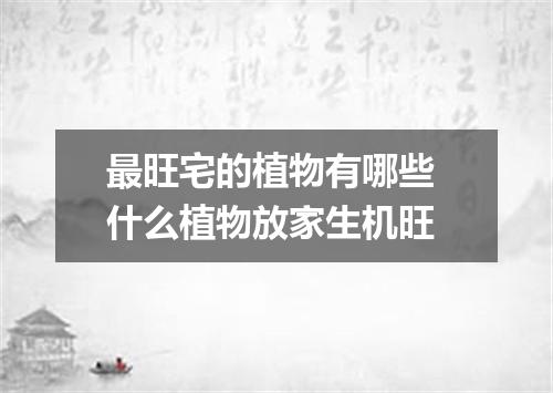 最旺宅的植物有哪些 什么植物放家生机旺