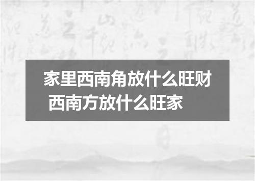 家里西南角放什么旺财 西南方放什么旺家