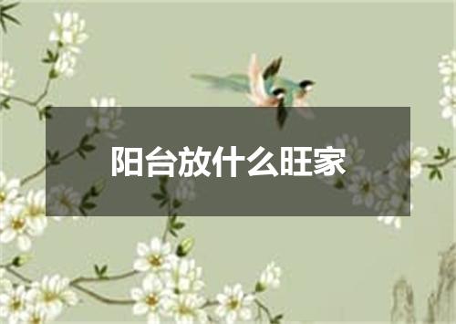 阳台放什么旺家