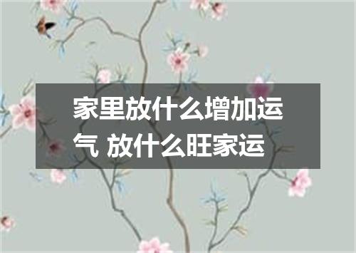家里放什么增加运气 放什么旺家运