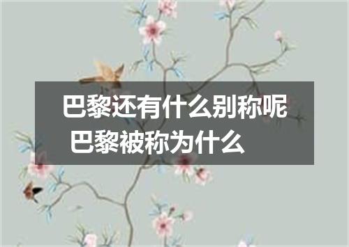巴黎还有什么别称呢 巴黎被称为什么