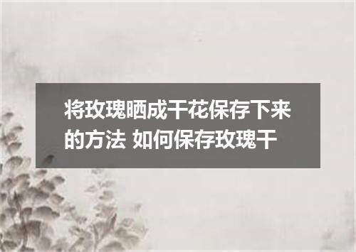将玫瑰晒成干花保存下来的方法 如何保存玫瑰干