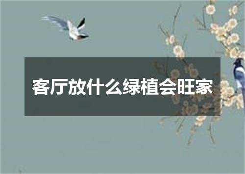 客厅放什么绿植会旺家