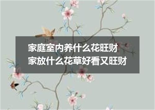 家庭室内养什么花旺财 家放什么花草好看又旺财