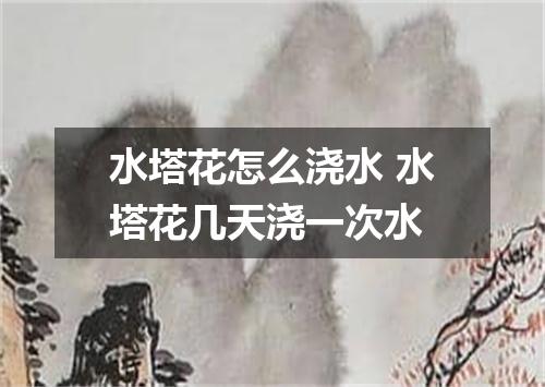 水塔花怎么浇水 水塔花几天浇一次水