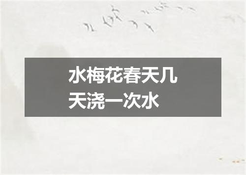 水梅花春天几天浇一次水