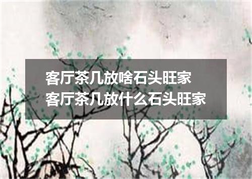 客厅茶几放啥石头旺家 客厅茶几放什么石头旺家