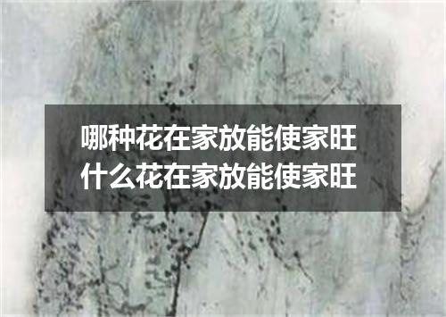 哪种花在家放能使家旺 什么花在家放能使家旺