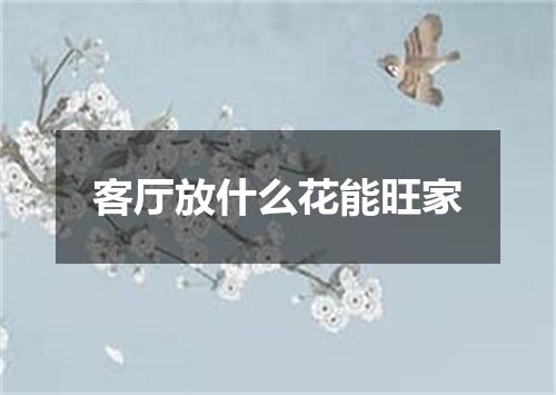 客厅放什么花能旺家