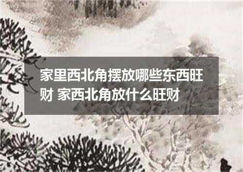 家里西北角摆放哪些东西旺财 家西北角放什么旺财