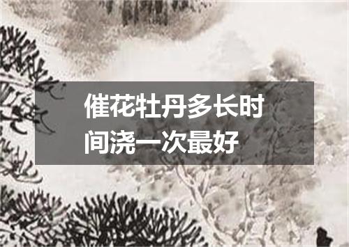 催花牡丹多长时间浇一次最好