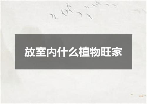 放室内什么植物旺家
