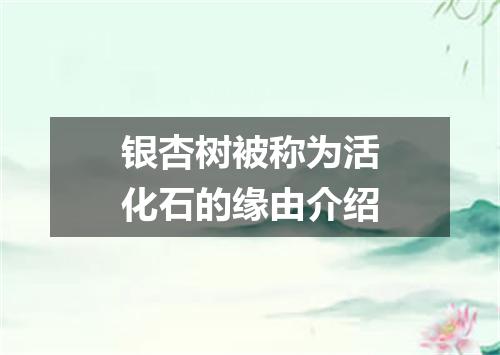 银杏树被称为活化石的缘由介绍