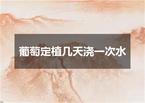 葡萄定植几天浇一次水