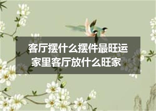 客厅摆什么摆件最旺运 家里客厅放什么旺家