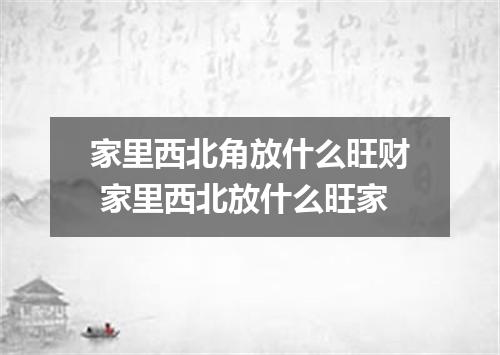 家里西北角放什么旺财 家里西北放什么旺家