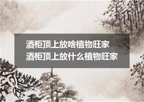 酒柜顶上放啥植物旺家 酒柜顶上放什么植物旺家