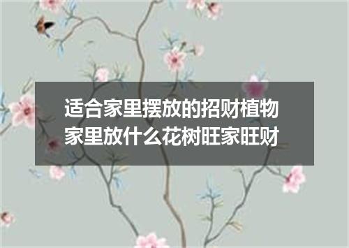 适合家里摆放的招财植物 家里放什么花树旺家旺财