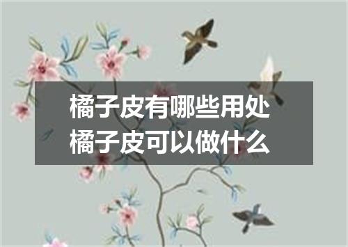 橘子皮有哪些用处 橘子皮可以做什么