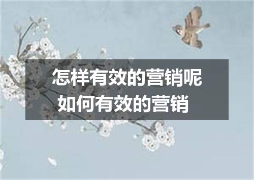 怎样有效的营销呢 如何有效的营销