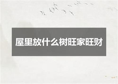 屋里放什么树旺家旺财