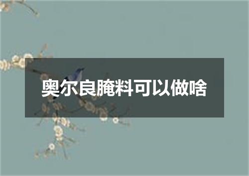 奥尔良腌料可以做啥