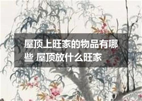 屋顶上旺家的物品有哪些 屋顶放什么旺家