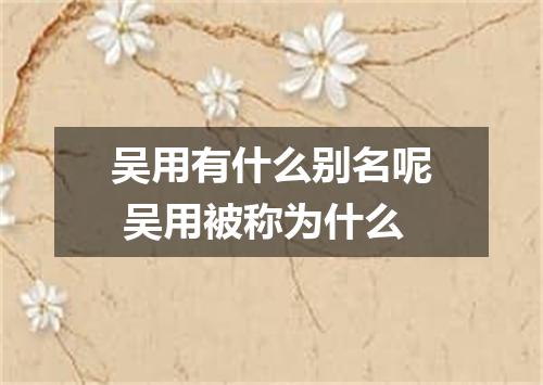 吴用有什么别名呢 吴用被称为什么