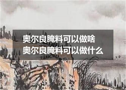 奥尔良腌料可以做啥 奥尔良腌料可以做什么