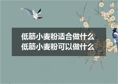 低筋小麦粉适合做什么 低筋小麦粉可以做什么