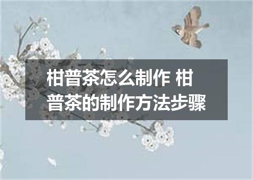 柑普茶怎么制作 柑普茶的制作方法步骤