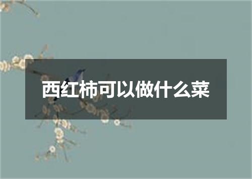 西红柿可以做什么菜