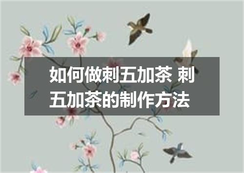 如何做刺五加茶 刺五加茶的制作方法