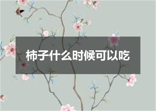 柿子什么时候可以吃