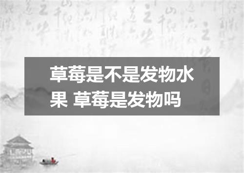 草莓是不是发物水果 草莓是发物吗