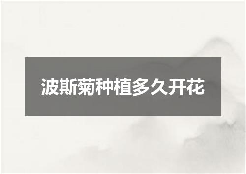 波斯菊种植多久开花