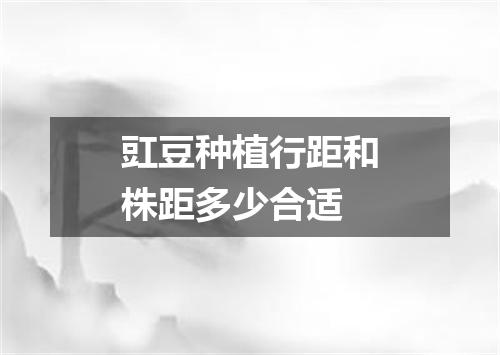 豇豆种植行距和株距多少合适
