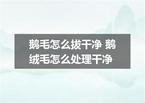 鹅毛怎么拔干净 鹅绒毛怎么处理干净