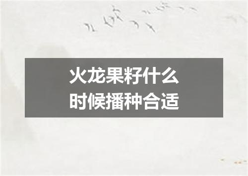 火龙果籽什么时候播种合适