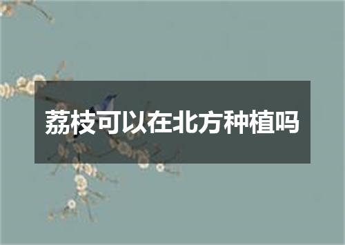 荔枝可以在北方种植吗