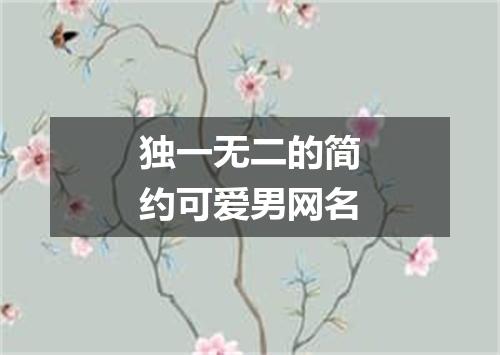 独一无二的简约可爱男网名