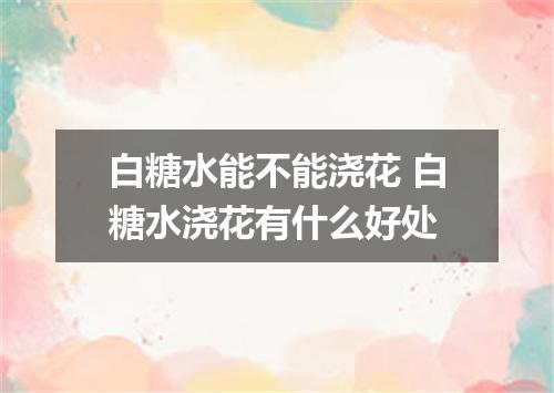 白糖水能不能浇花 白糖水浇花有什么好处