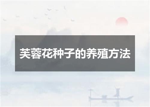 芙蓉花种子的养殖方法