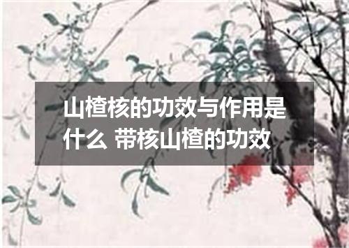 山楂核的功效与作用是什么 带核山楂的功效