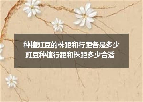 种植豇豆的株距和行距各是多少 豇豆种植行距和株距多少合适