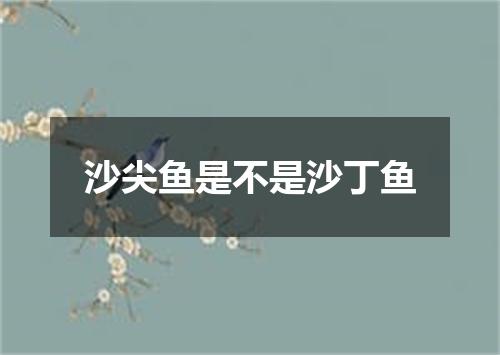 沙尖鱼是不是沙丁鱼