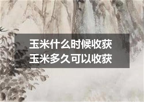 玉米什么时候收获 玉米多久可以收获