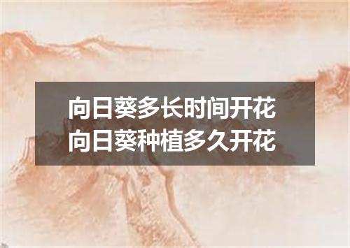 向日葵多长时间开花 向日葵种植多久开花