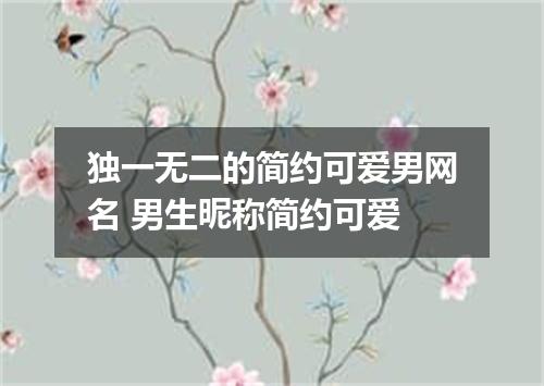 独一无二的简约可爱男网名 男生昵称简约可爱